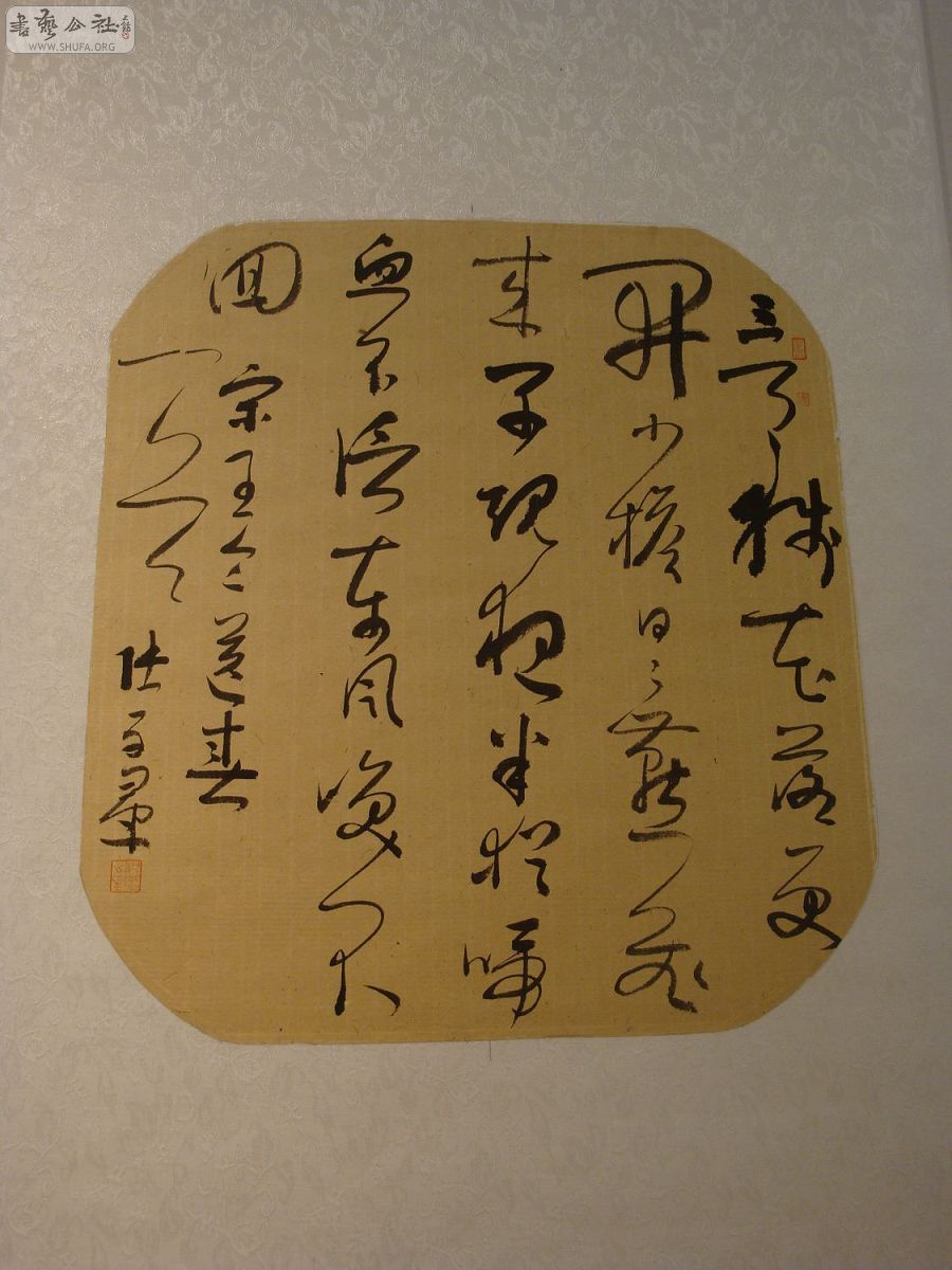 DSC02909.jpg