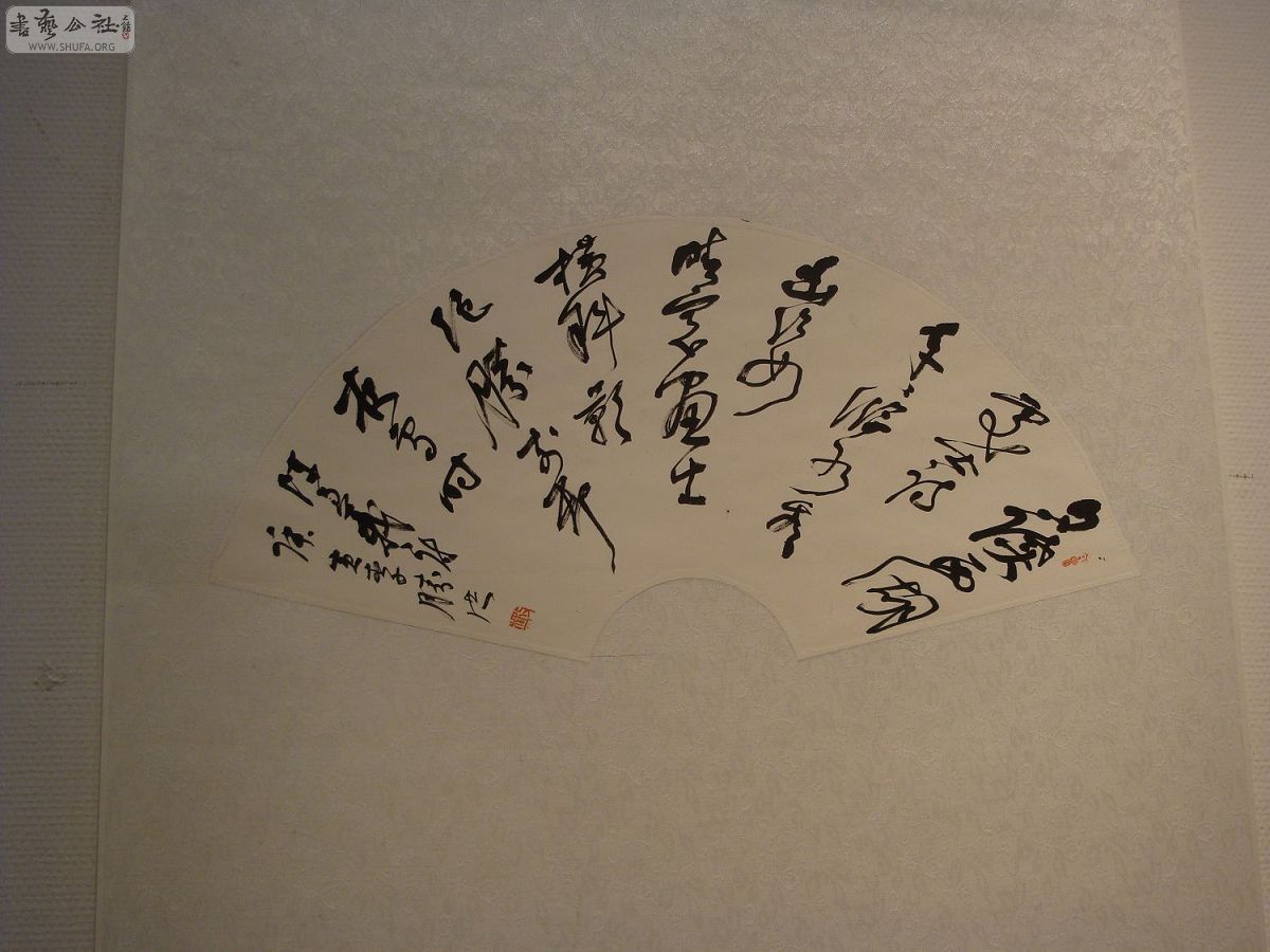 DSC02924.jpg
