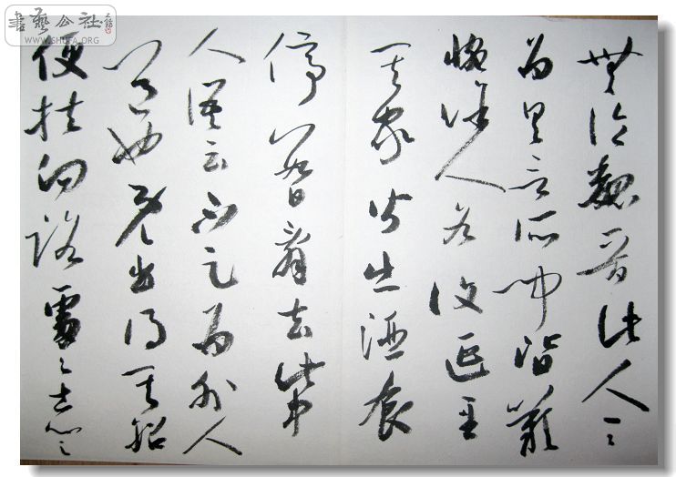 Ƭ 009.jpg