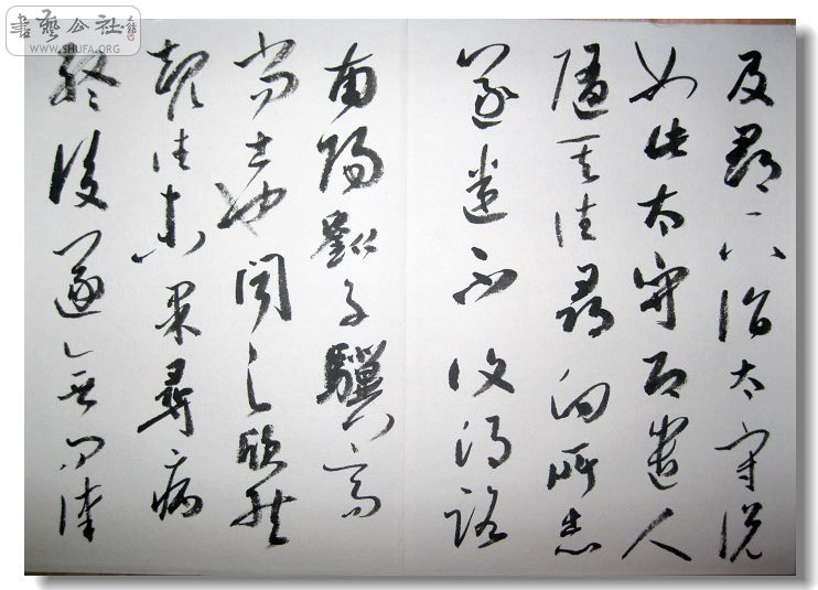 Ƭ 010.jpg