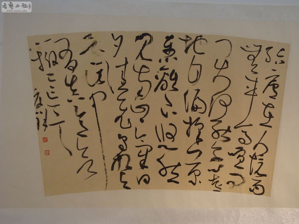 DSC03146.jpg