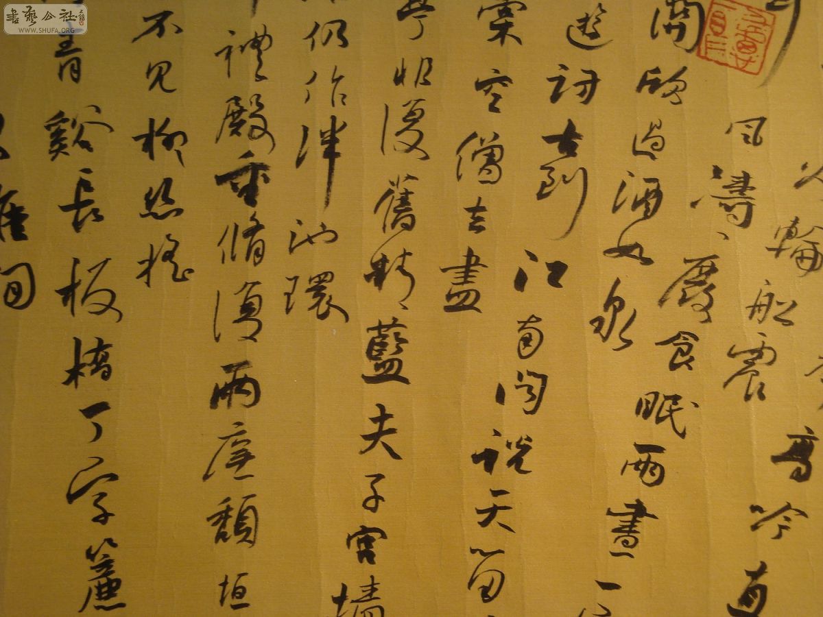 DSC03075.jpg