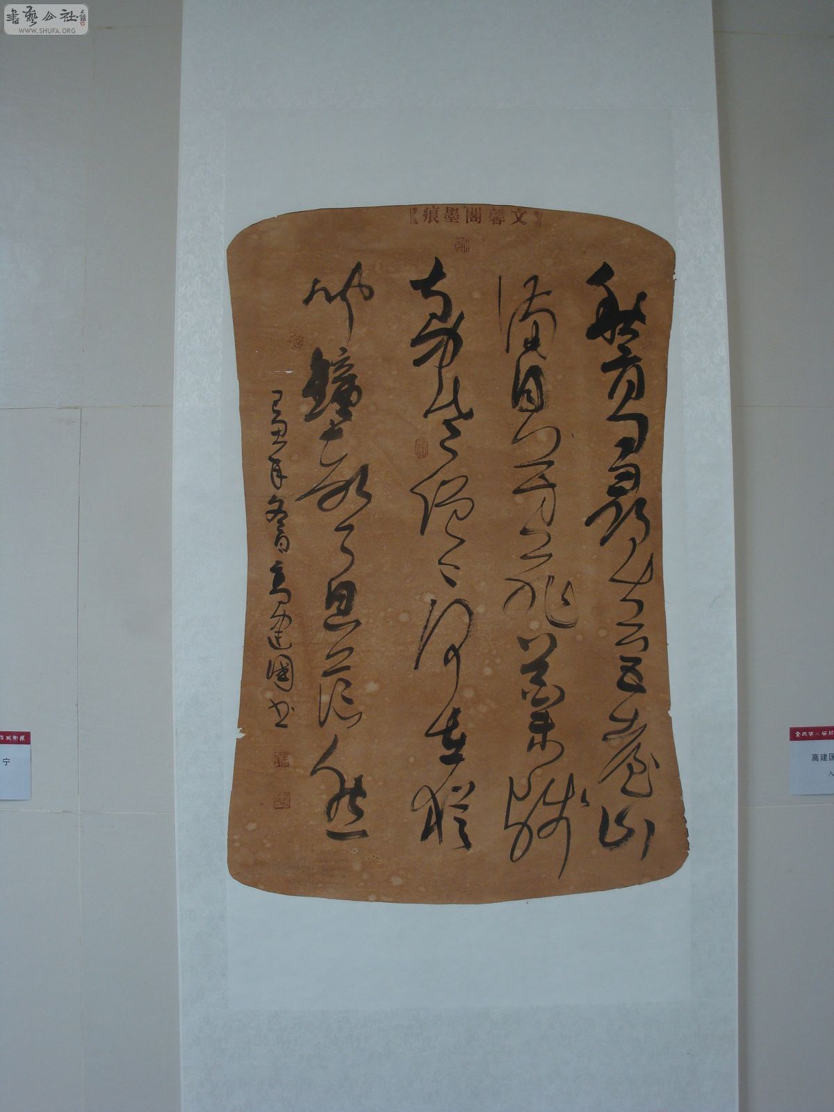 DSC03207.JPG
