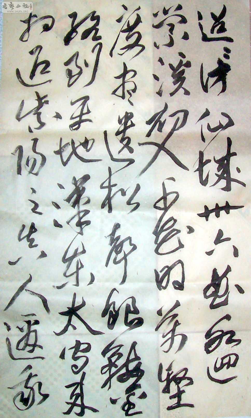 Ƭ2-6 031.jpg