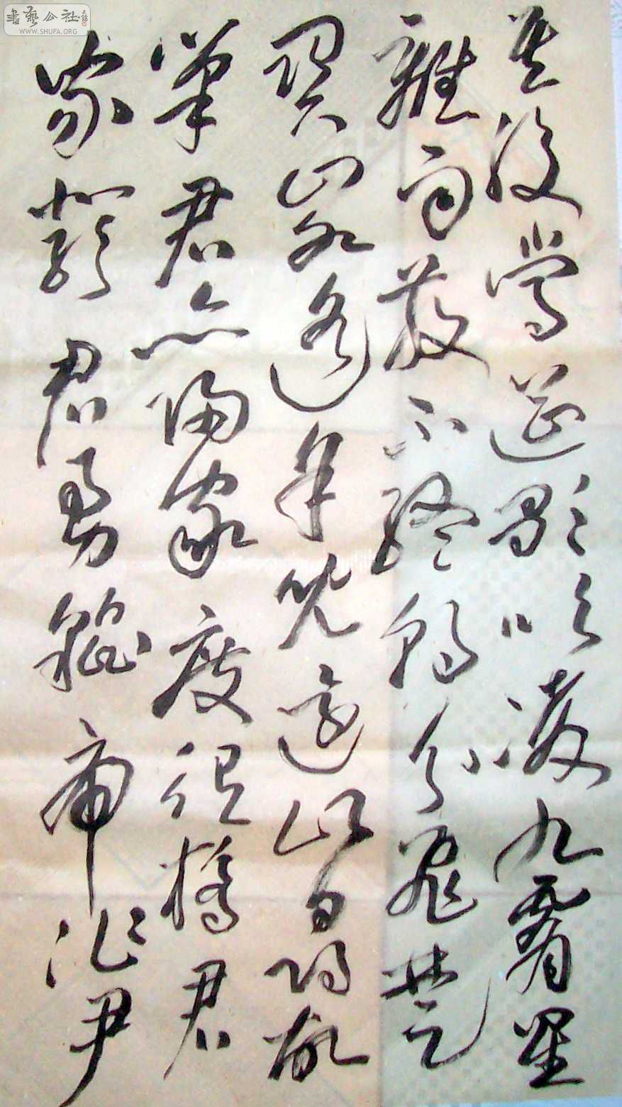 Ƭ2-6 033.jpg