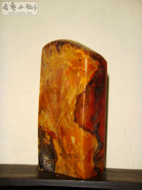 DSC05755.JPG