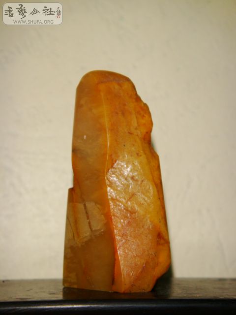 DSC06088.JPG