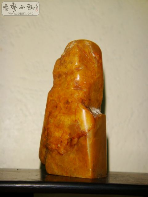 DSC06087.JPG