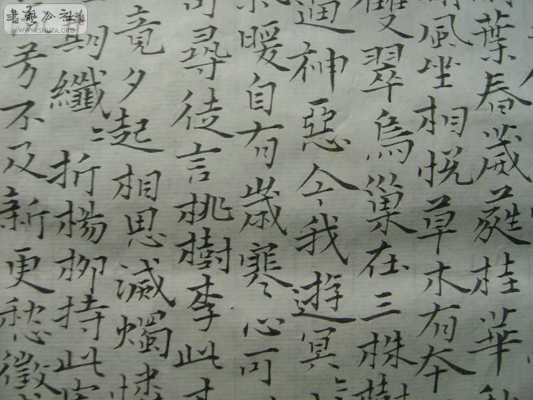 S6006034.JPG