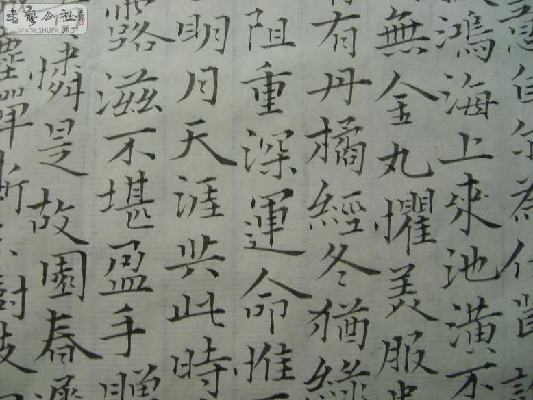 S6006036.JPG