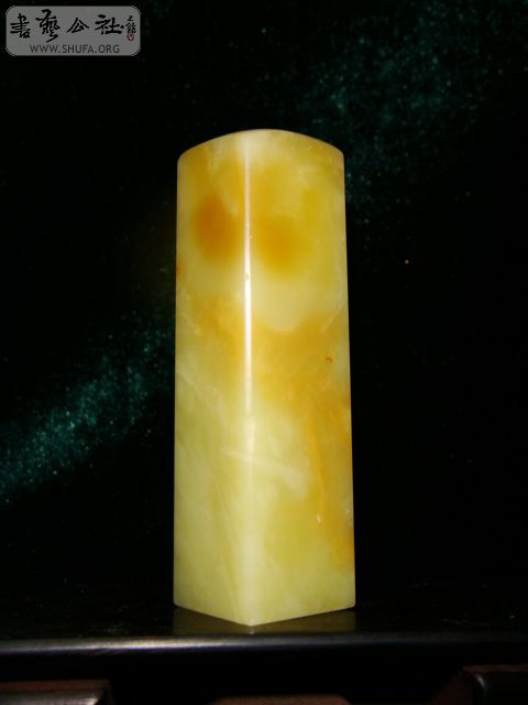 DSC06223.JPG