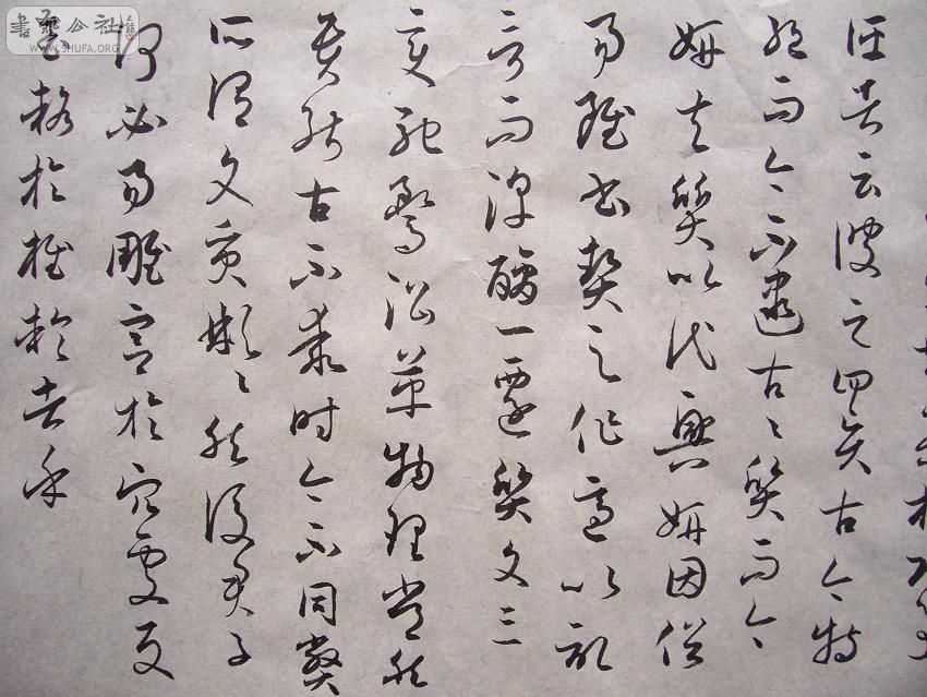100_4482.JPG