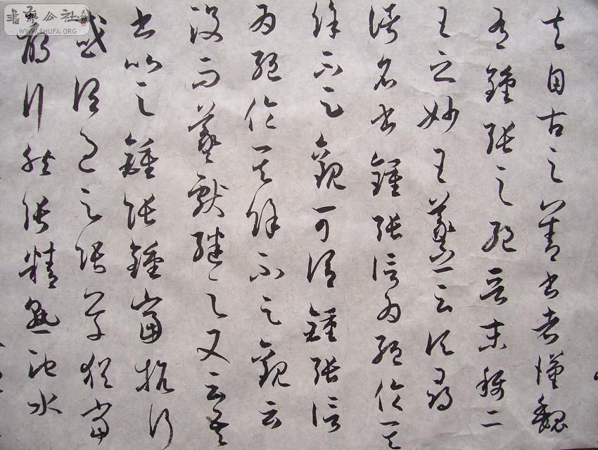 100_4480.JPG