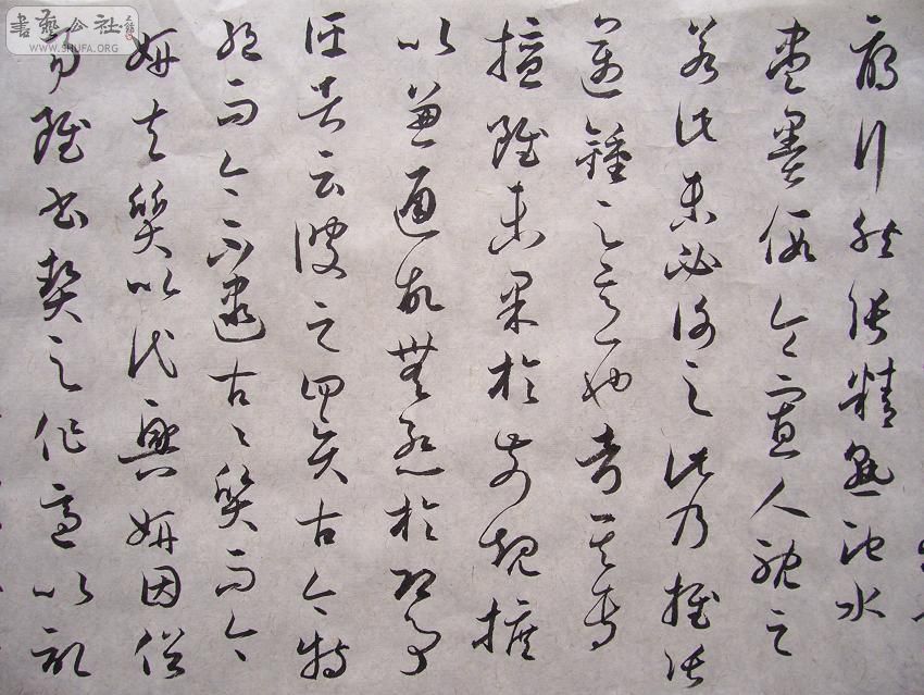 100_4483.JPG