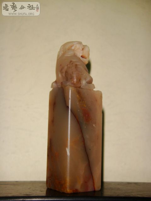 DSC06397.JPG
