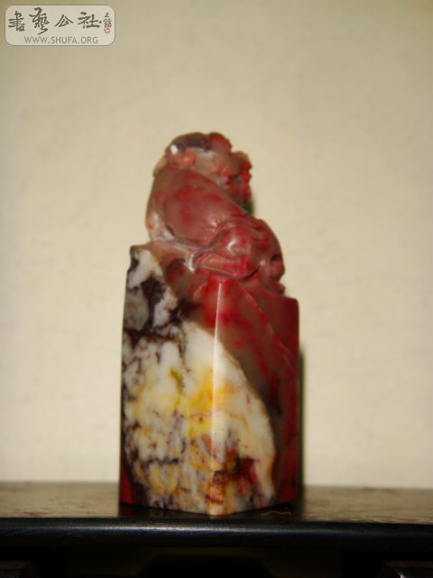 DSC06411.JPG