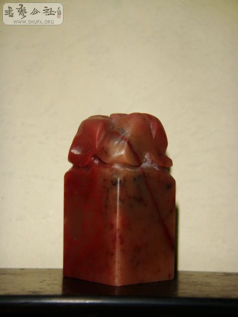 DSC06414.JPG