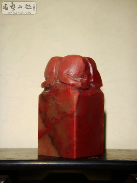 DSC06415.JPG