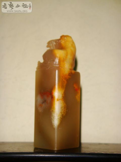 DSC06421.JPG