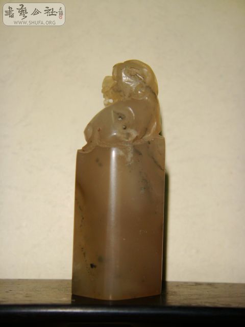 DSC06425.JPG