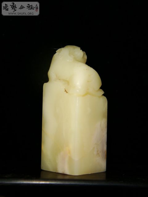 DSC06441.JPG