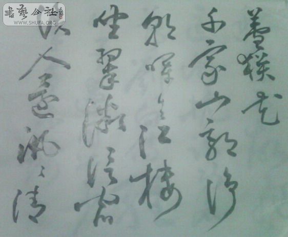 IMG0207A.jpg