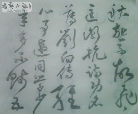 IMG0208A.jpg
