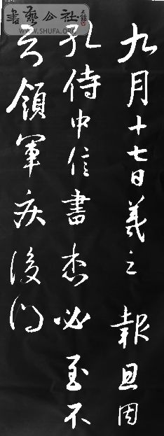 DSC07823.JPG