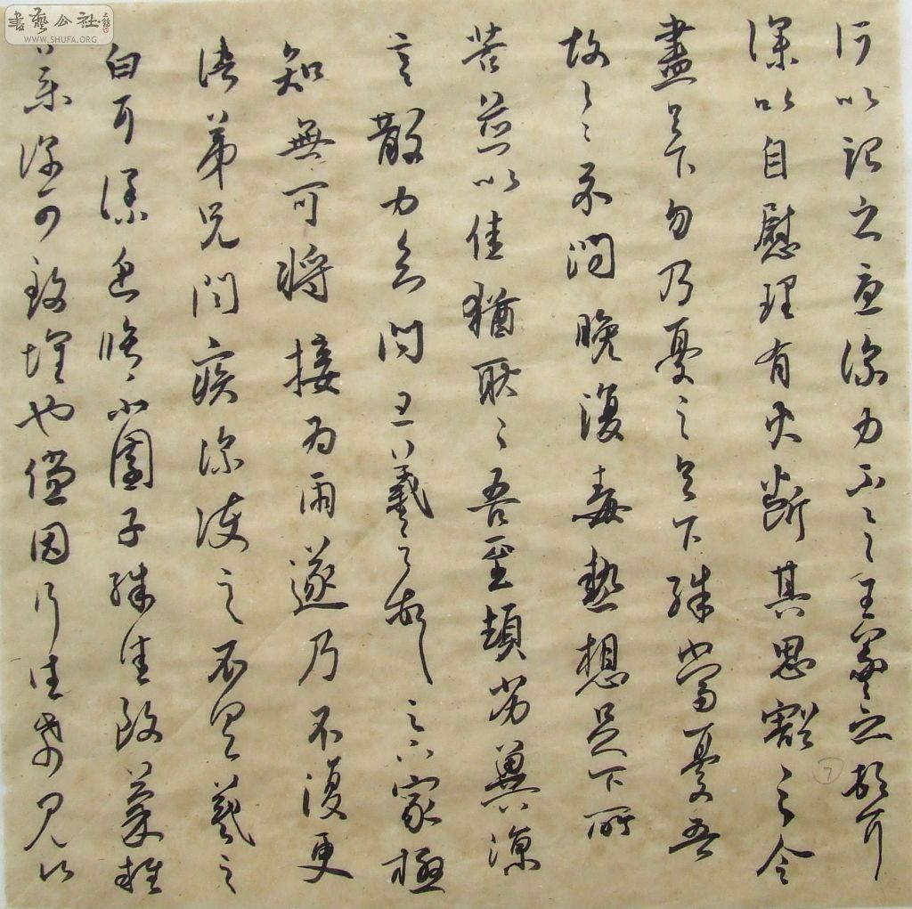 DSCF3539.JPG