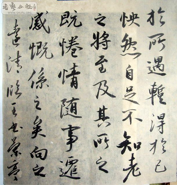 Զ黭 175.jpg
