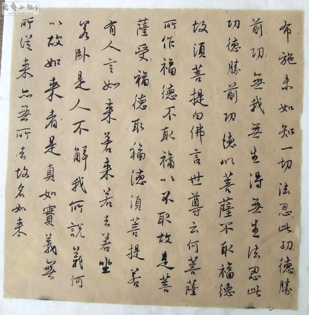 DSCF3572.JPG