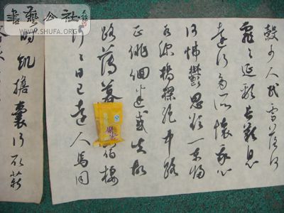 DSC03960.JPG