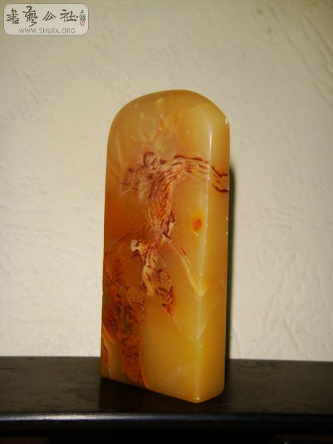 DSC07259.JPG
