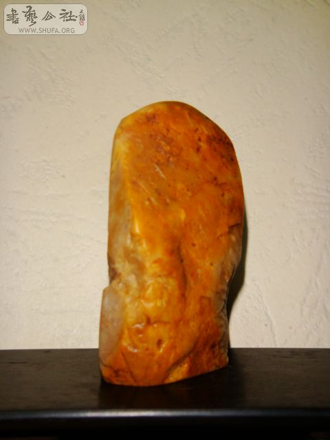 DSC07247.JPG