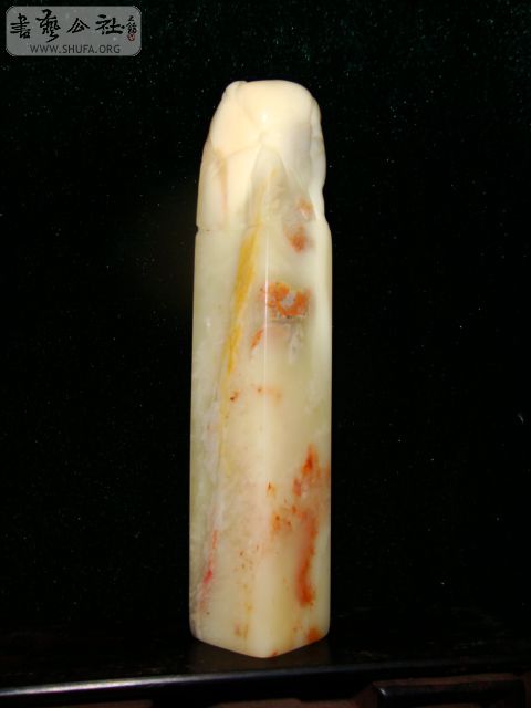 DSC07113.JPG