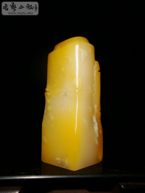 DSC07139.JPG