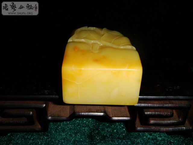 DSC07144.JPG