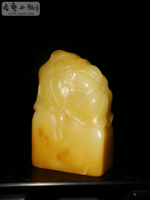 DSC07142.JPG