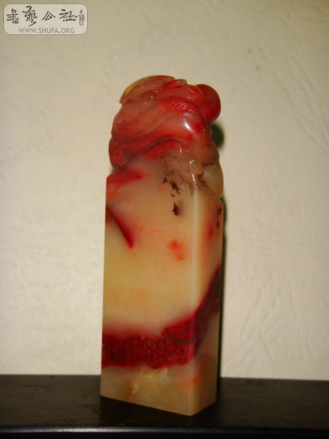 DSC07163.JPG