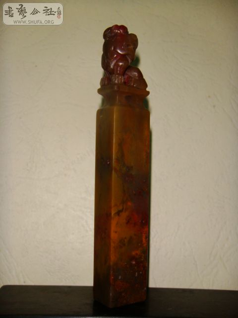 DSC07350.JPG