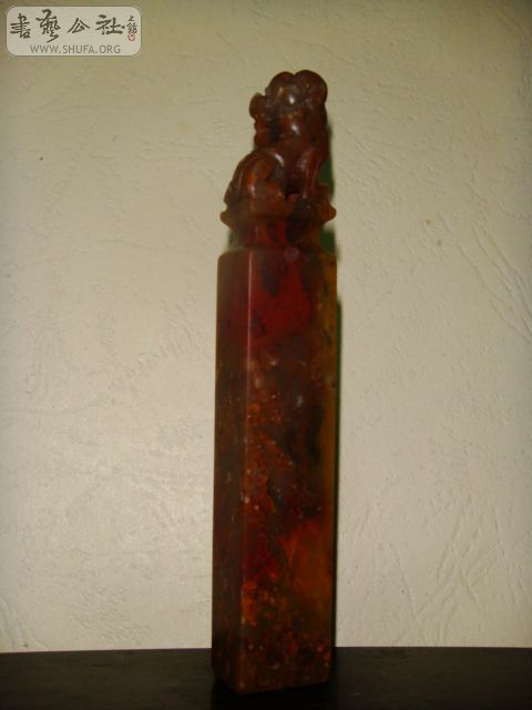 DSC07351.JPG