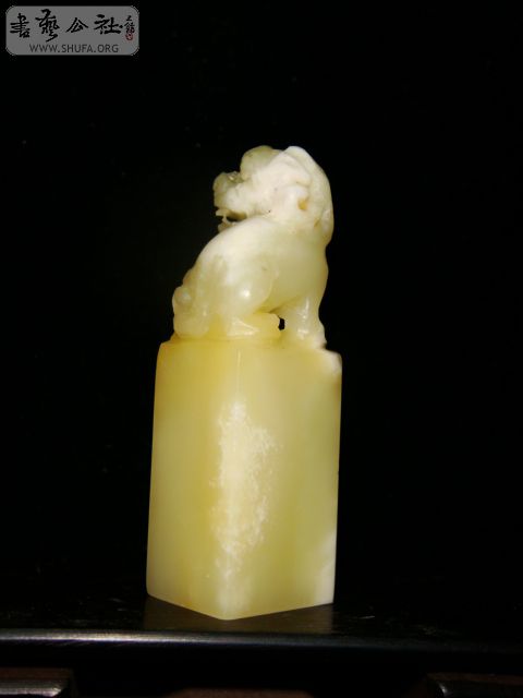 DSC07355.JPG