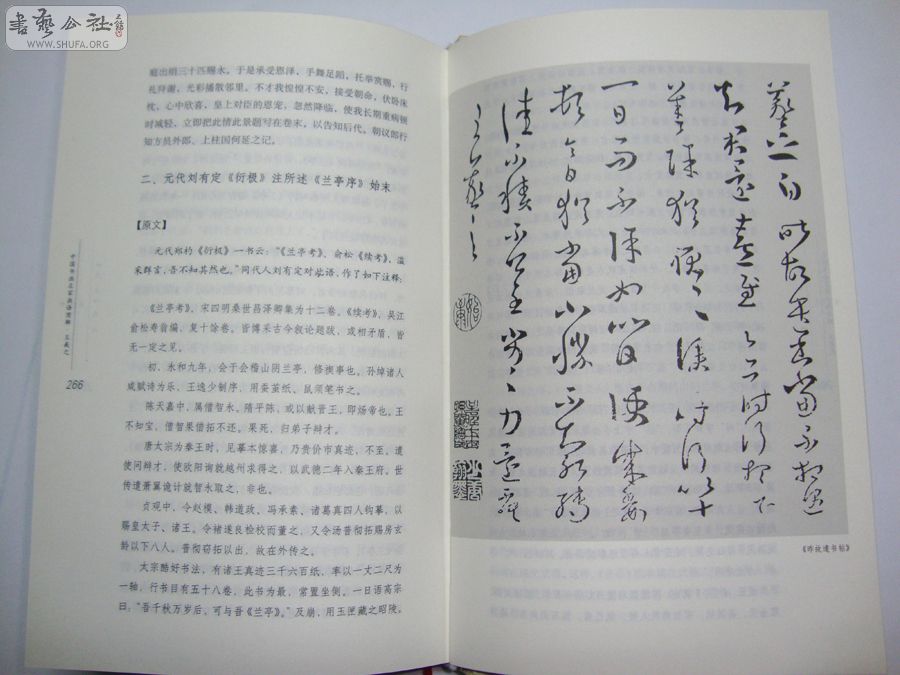 DSC04742.jpg