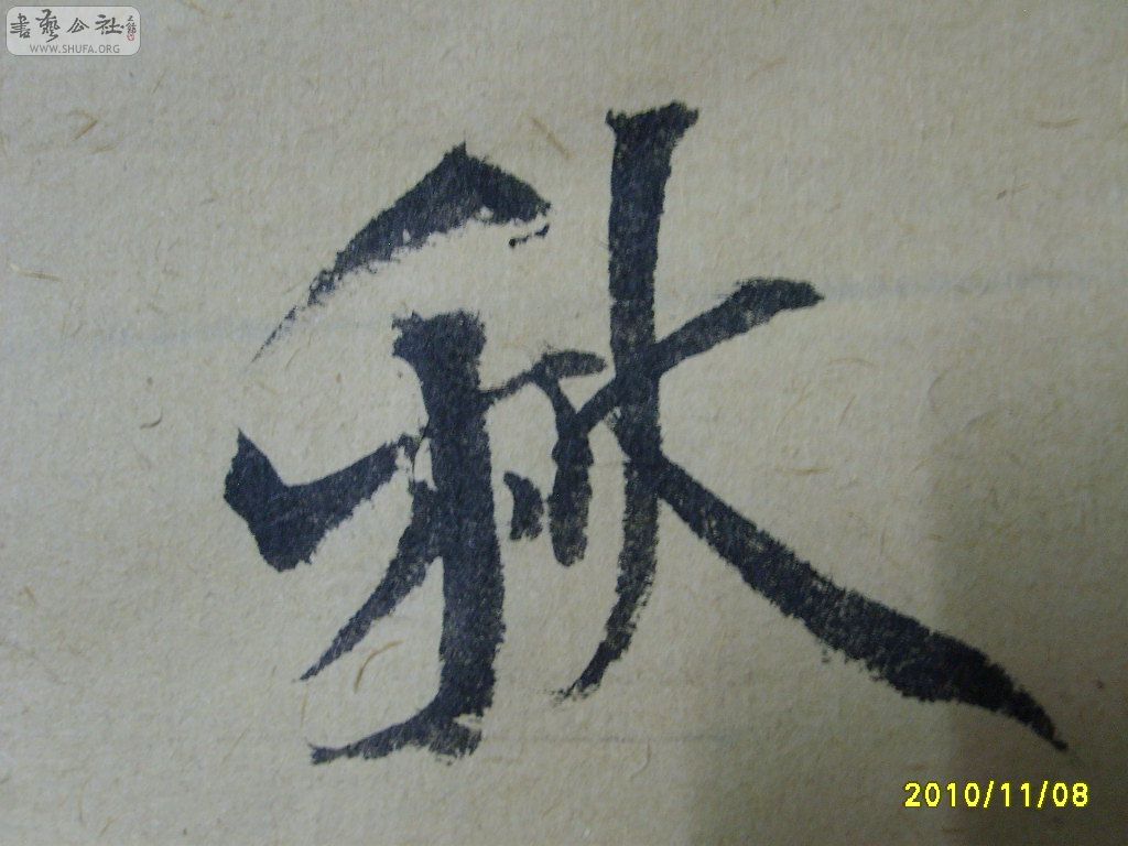 S6002059.JPG