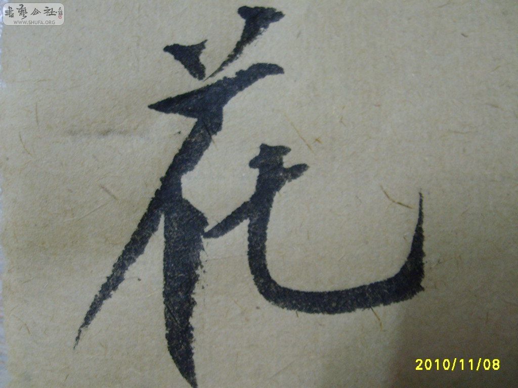 S6002056.JPG