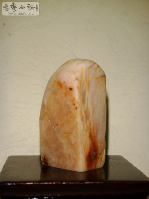DSC07561.JPG