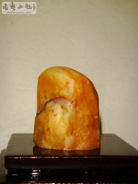 DSC07562.JPG