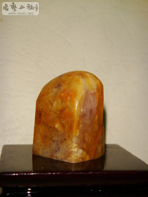 DSC07563.JPG