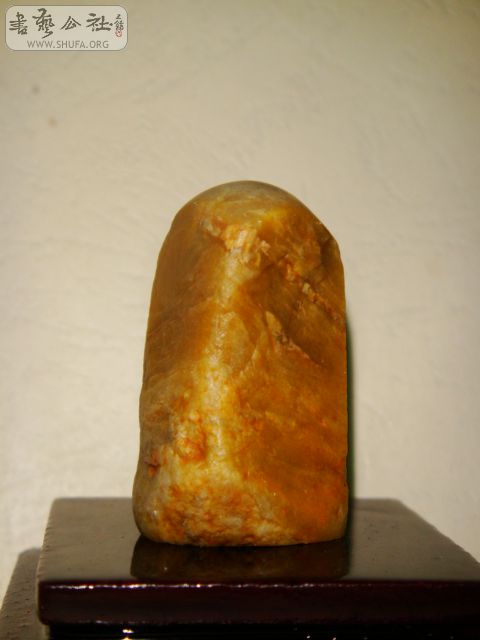 DSC07564.JPG