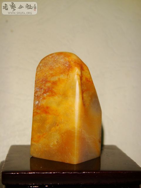DSC07567.JPG
